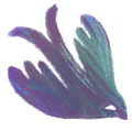 5K